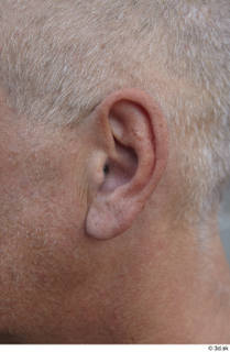 Street  598 ear 0001.jpg